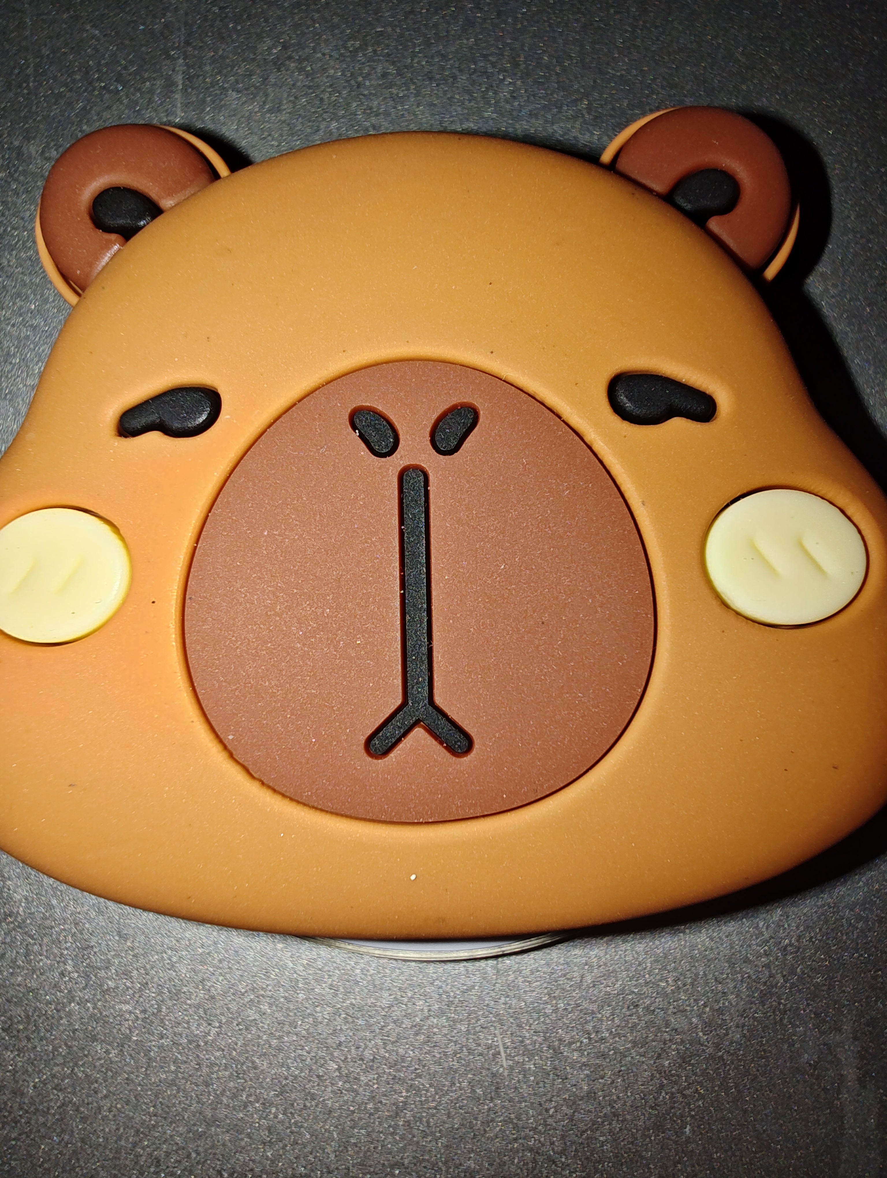 Capybara 3D Magnetic Pop