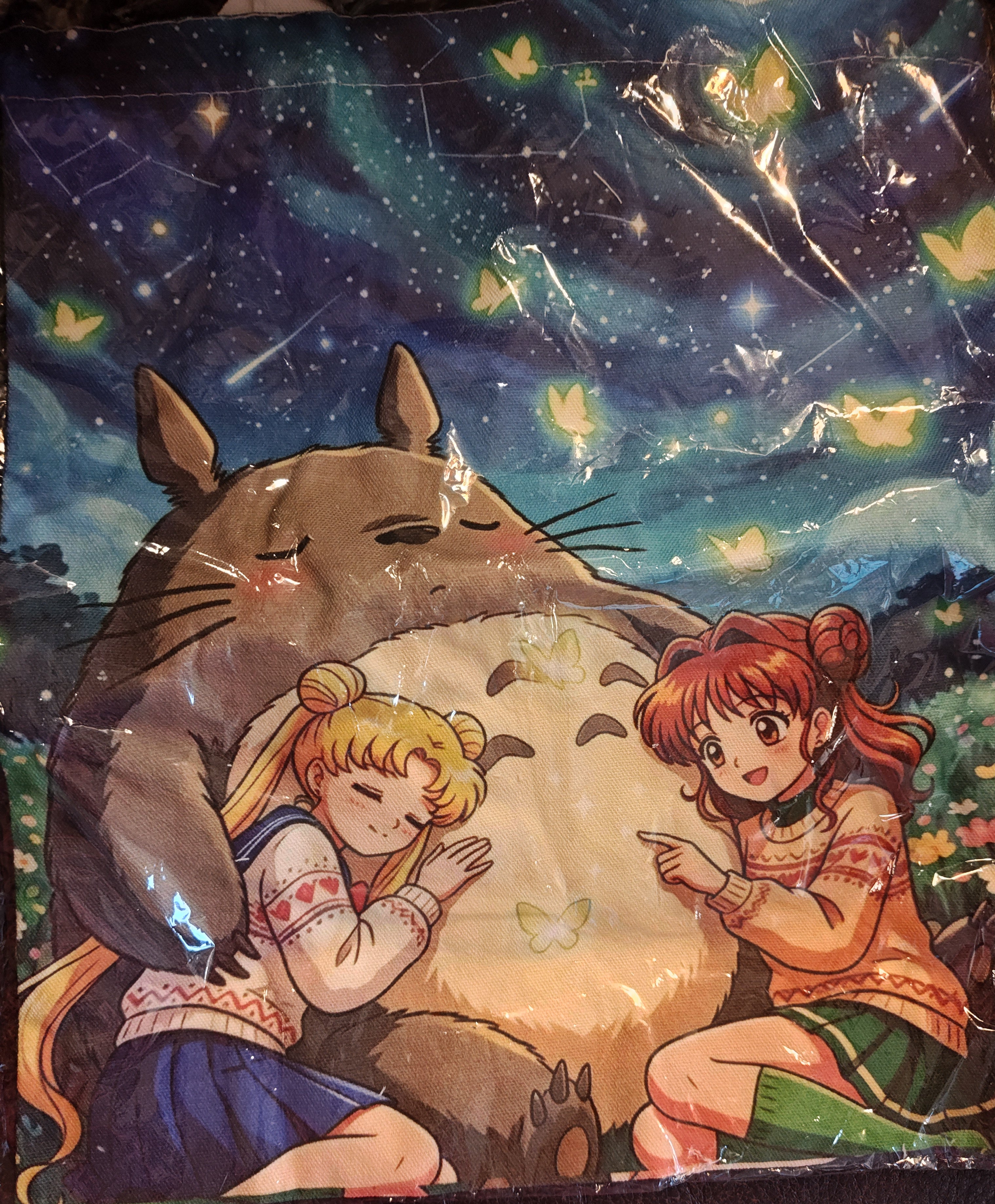 Sailor Moon and Totoro