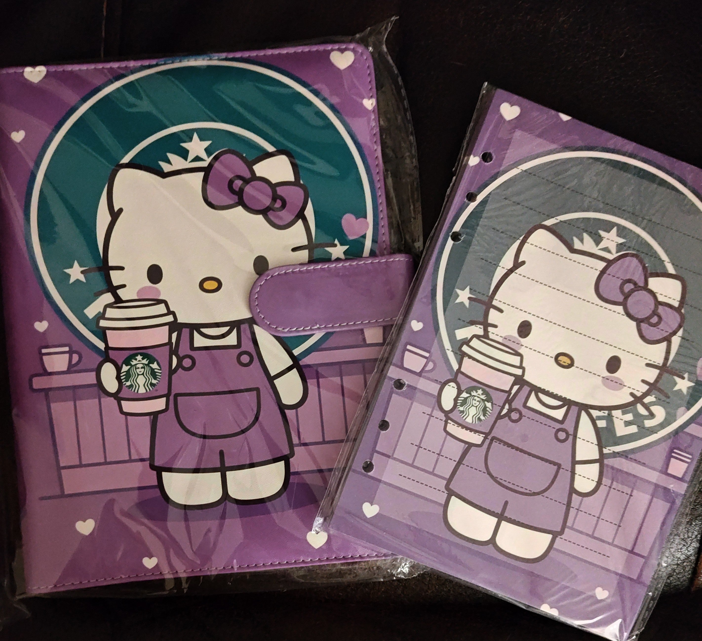 Hello Kitty A5 Binder and matching paper