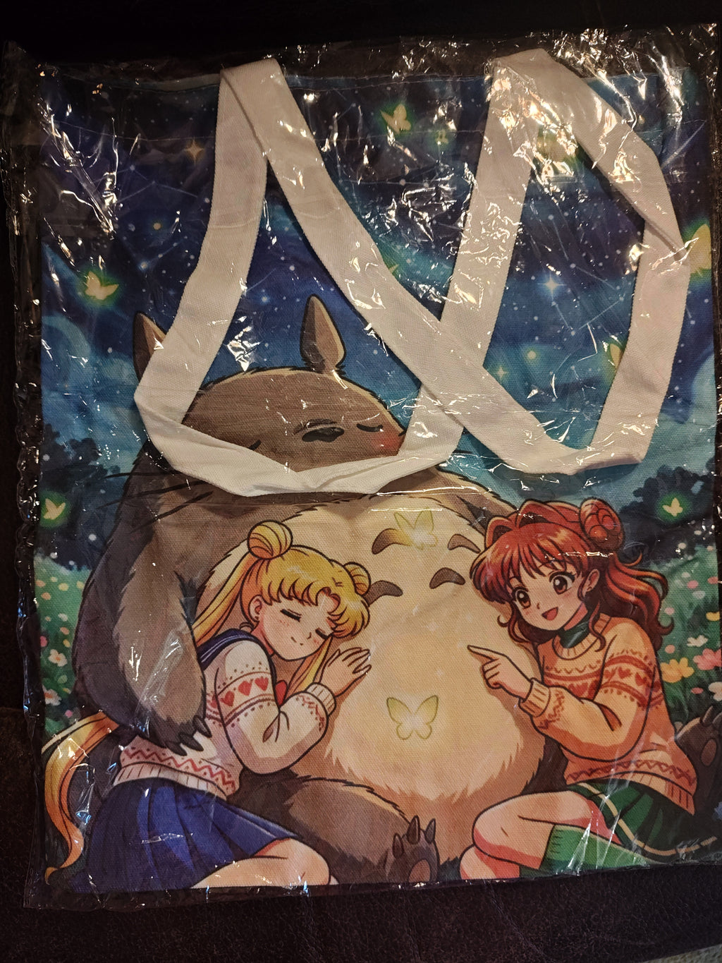 Sailor Moon and Totoro
