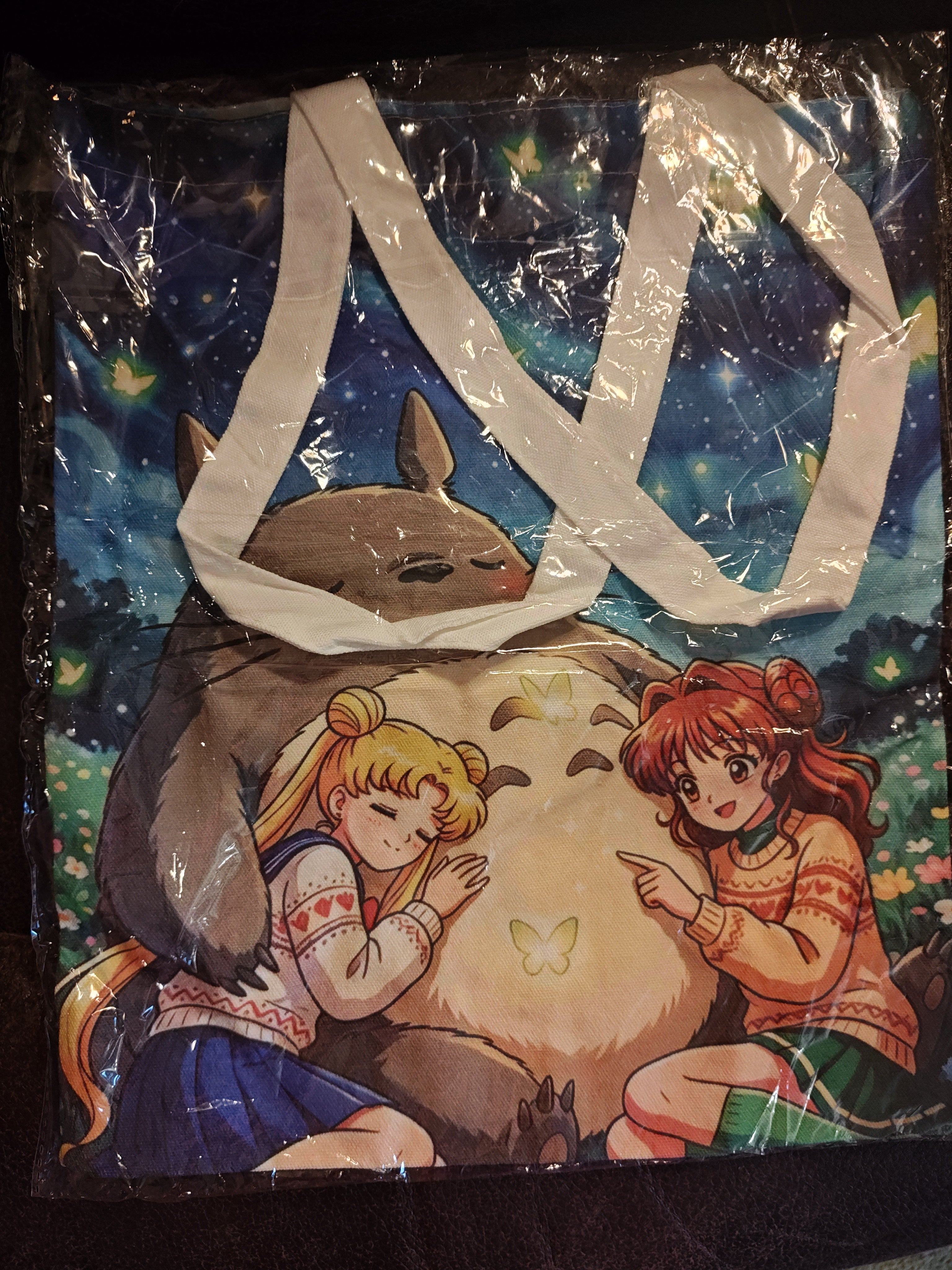 Sailor Moon and Totoro